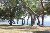 park