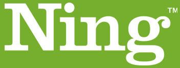 Logo: Ning Social Network