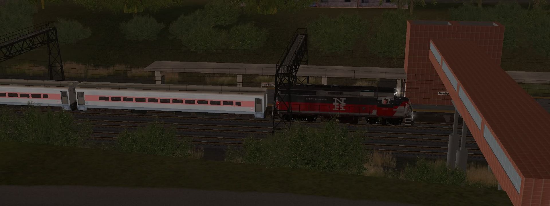 SLE61.jpg