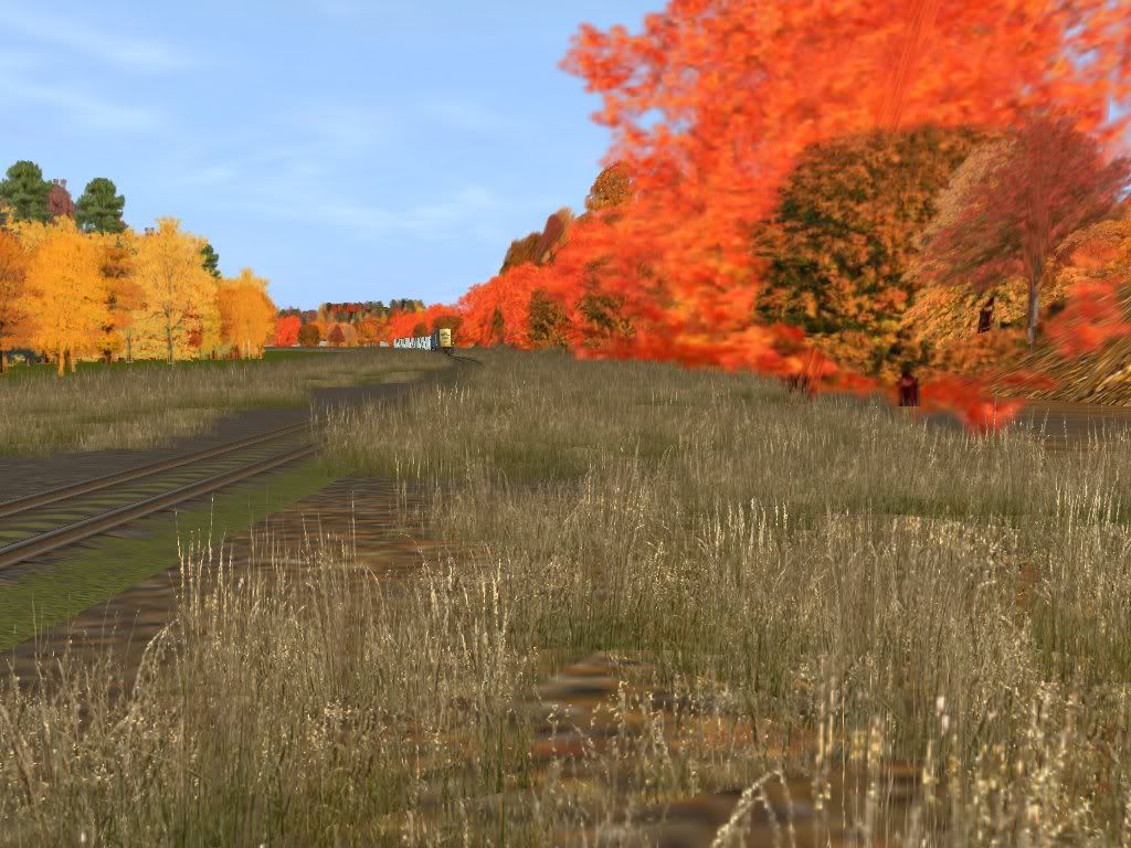 fall5.jpg
