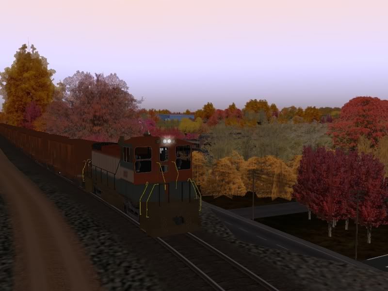 bsrr18.jpg
