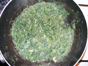 nettles6.jpg