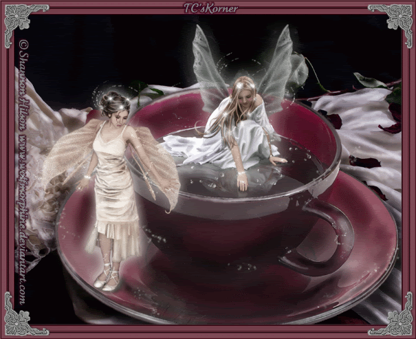  photo 105.gif