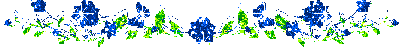  photo 13.gif