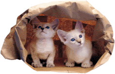  photo 32ro0.gif