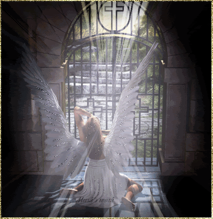  photo x1pnp_rgmi5o53uDq4rf_KMXiNmlVh84BVD.gif