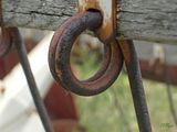 rustloop.jpg image by stregawise