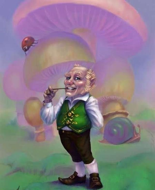 Leprechaun Pictures, Images and Photos