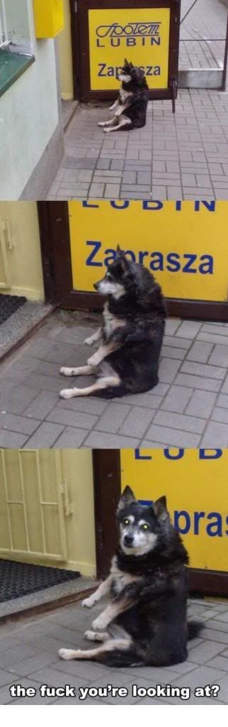 8GeNi9w_zps2af9ce8d.jpg~original