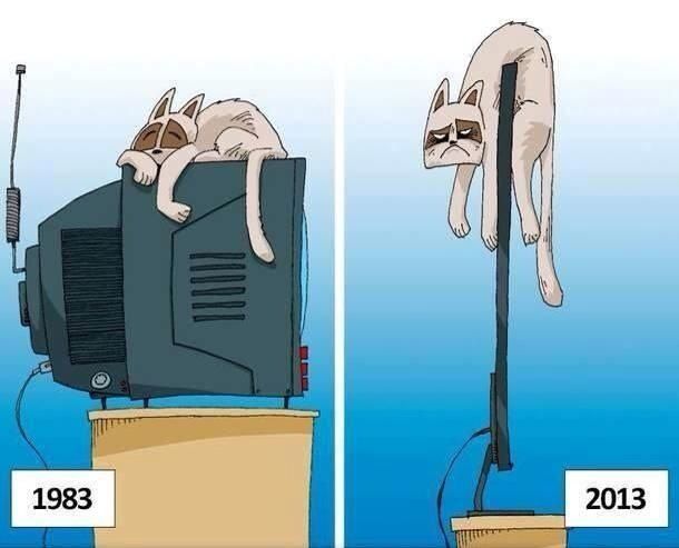 cats-before-and-after-888993_zpsbda62499.jpeg~original