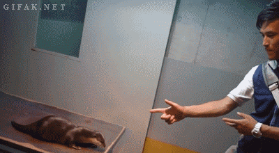 iXuLlW89QmBaw_zps658fa18a.gif~original