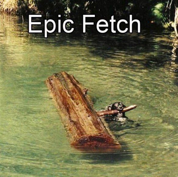 22523d363e8e973d6b9143_zpspqvrfxcx.jpg~original