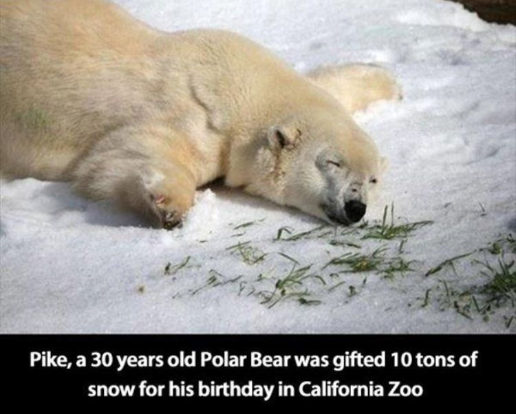 7ciGr3_zpsccwzxpde.jpg~original