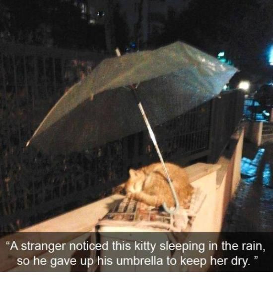 a-few-photos-to-restore-your-faith-in-humanity-27-photos-2_zpsk6jie41p.jpg~original