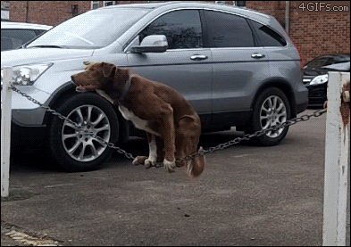 balancing.gif