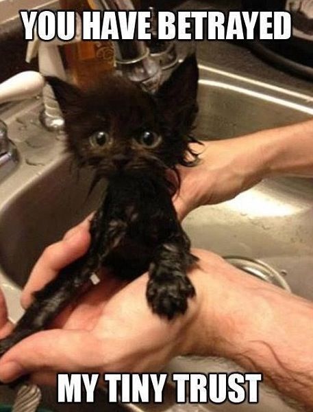 e58180eeac773fd5bf2e14ac31517890_zpssqtaqfhr.jpg~original