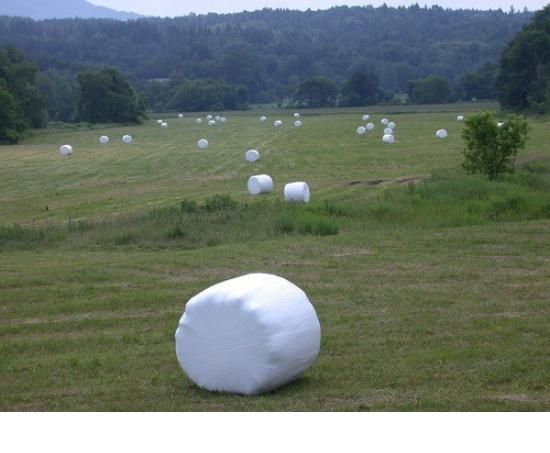 marshmallow%20farm_zpsww6y7zkn.jpg~original