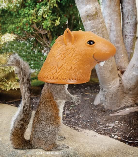 big-head-squirrel-feeder-1.jpg
