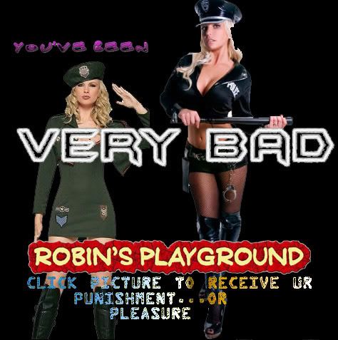 Robin's playground