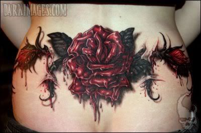 BoothRose.jpg Blood Rose image by MoonLitNightSky