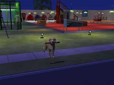 lustigesims-hund.jpg