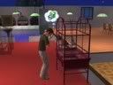 lustigesims-papagei.jpg
