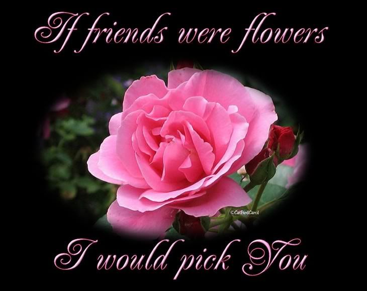 flower for friendship photo: FRIENDSHIP flower.jpg