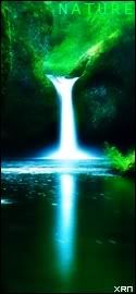 nature-2.jpg