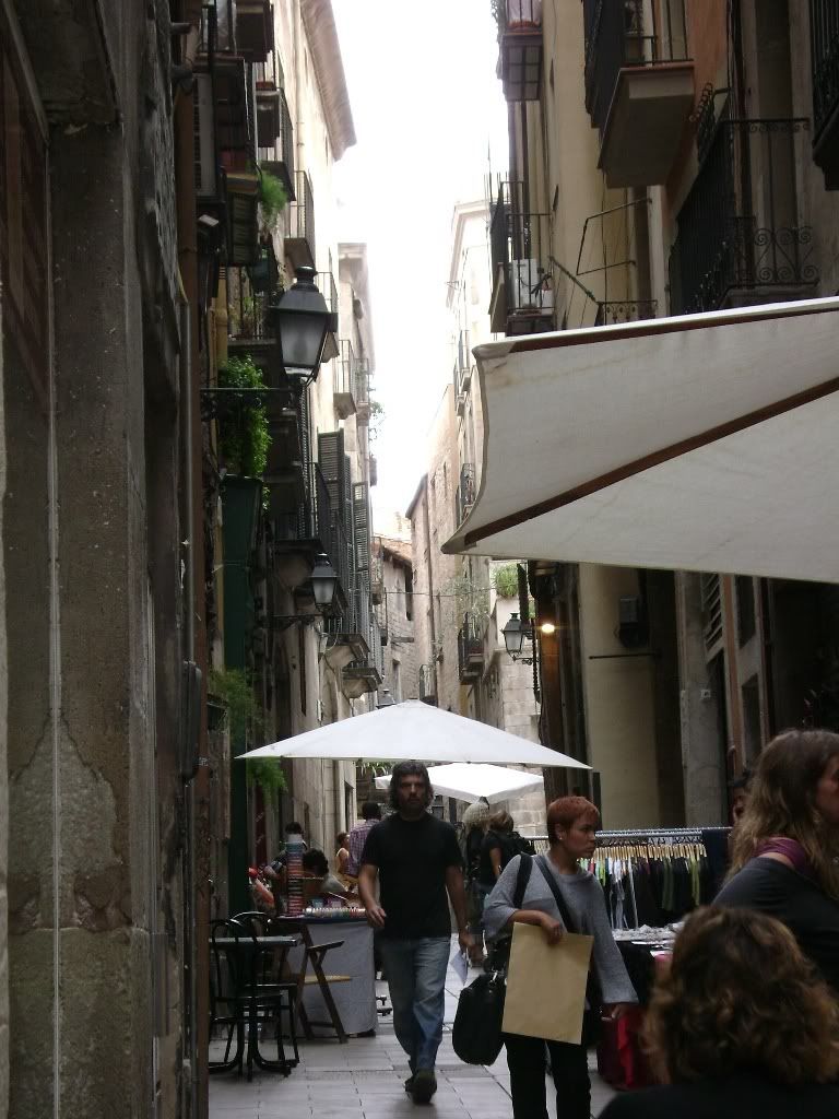 DSC00737.jpg