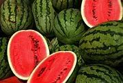 Watermellon Pictures, Images and Photos