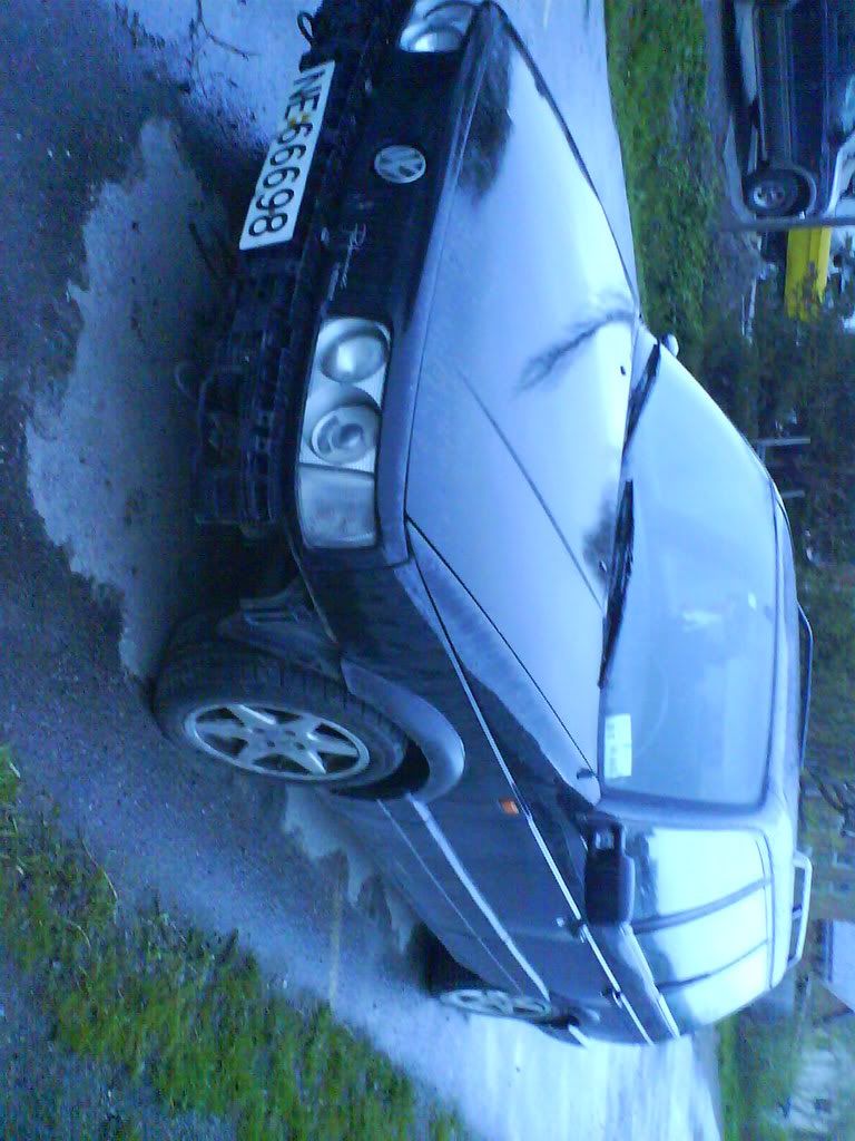 DSC00039.jpg?t=1179269672