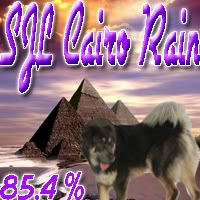 SJL Cairo Rain