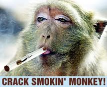 crack_smokin_monkey.jpg