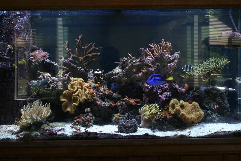 90gallon.jpg