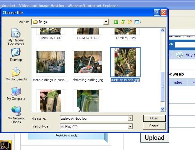 Photobucket - Video and Image Hosting
