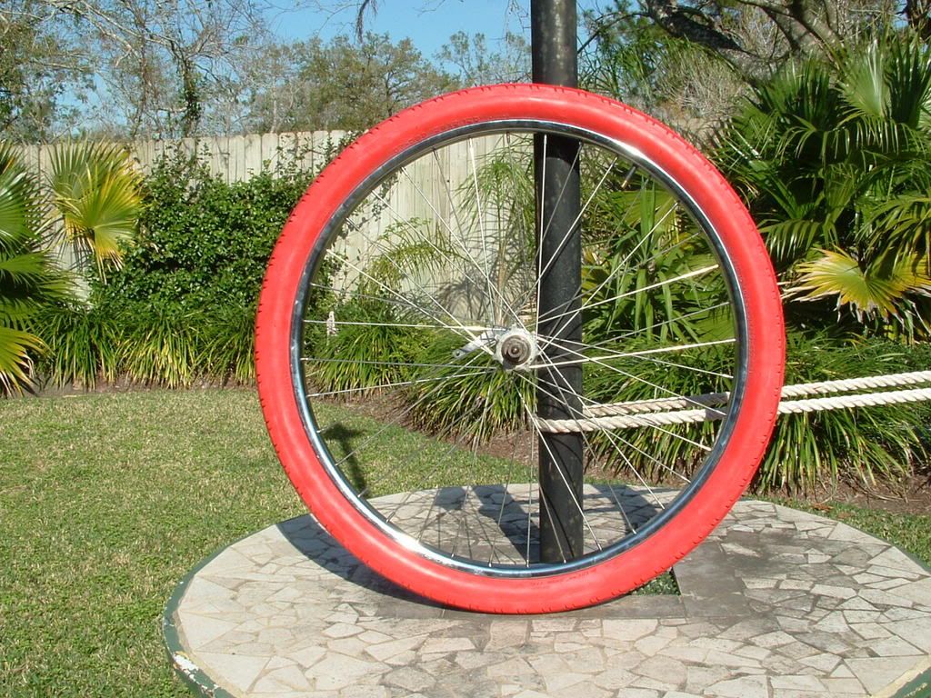 Bicycle Tires And Rims