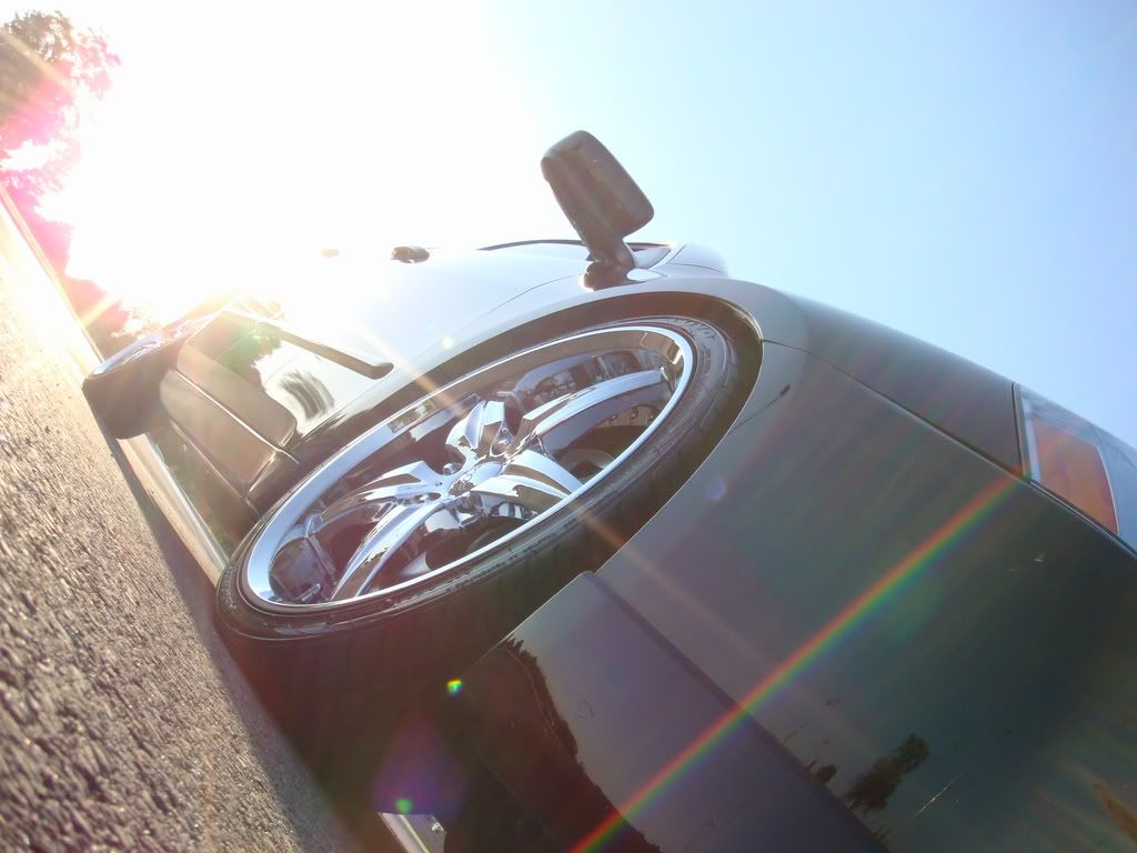 DSC00175.jpg