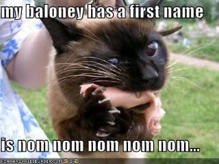 [Image: funny-pictures-balogna-first-name-n.jpg]