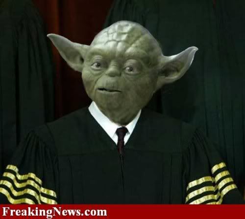 Yoda--6925.jpg