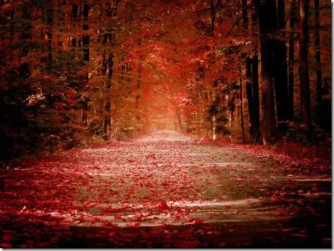 autumn red photo: autumn autumn.jpg