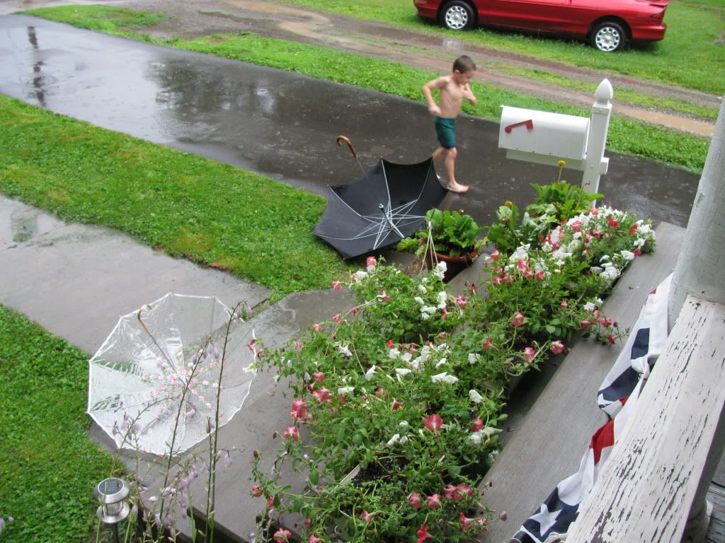 Planter Boxes Here are the planter boxes on the stairs getting watered.