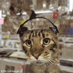http://i202.photobucket.com/albums/aa227/audioanatomy/Chat-casque.gif