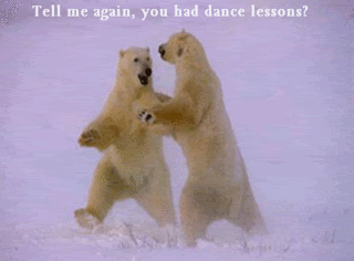 Pictures  that make you LOL (IMG INTENSIVE)