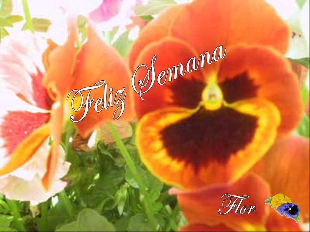 felizsemana.jpg image by Florejoia