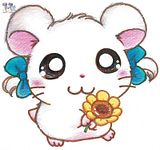 hamtaro y colitas colouring pages page 2