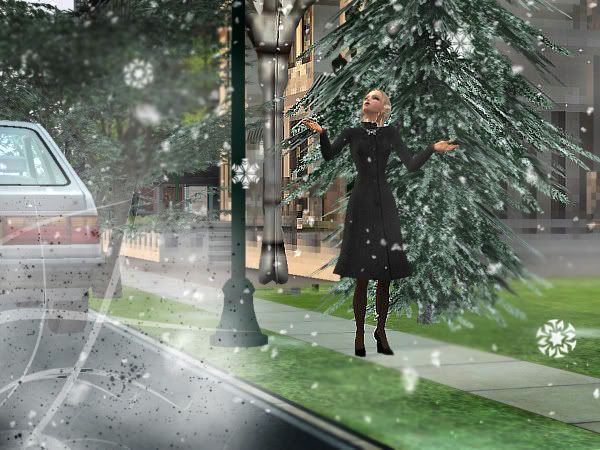 snapshot_1457312d_d45764ee.jpg
