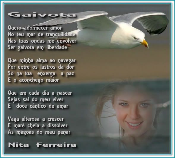 Gaivota-Nita Ferreira