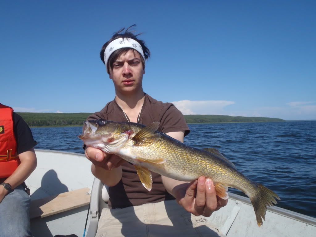 Lesser Slave walleye and pike pics Alberta Outdoorsmen Forum