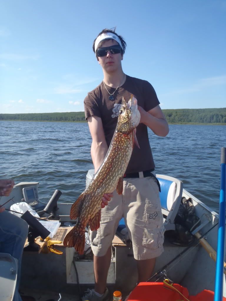 Lesser Slave walleye and pike pics Alberta Outdoorsmen Forum