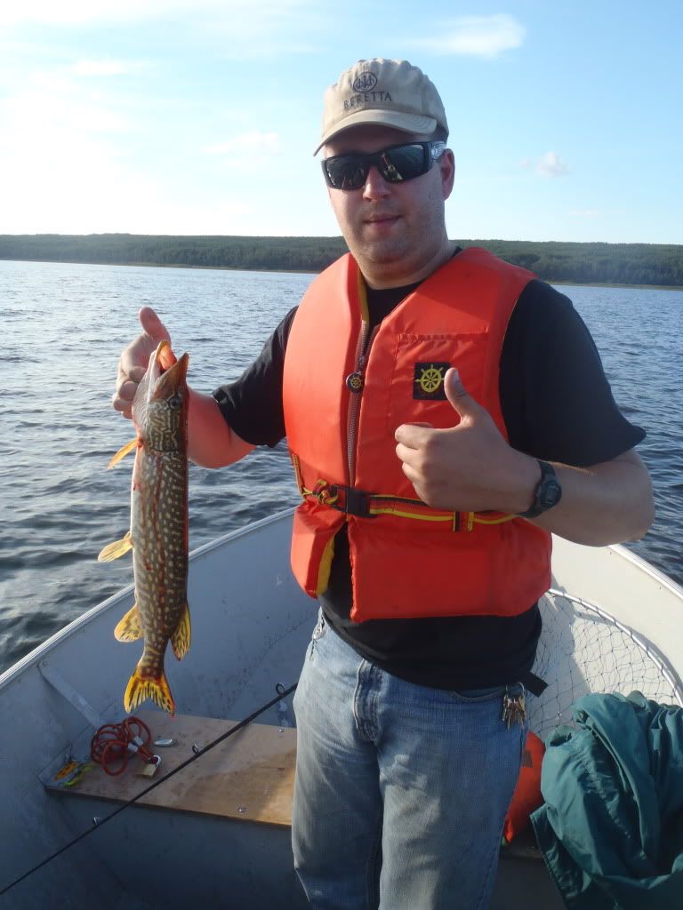 Lesser Slave walleye and pike pics Alberta Outdoorsmen Forum